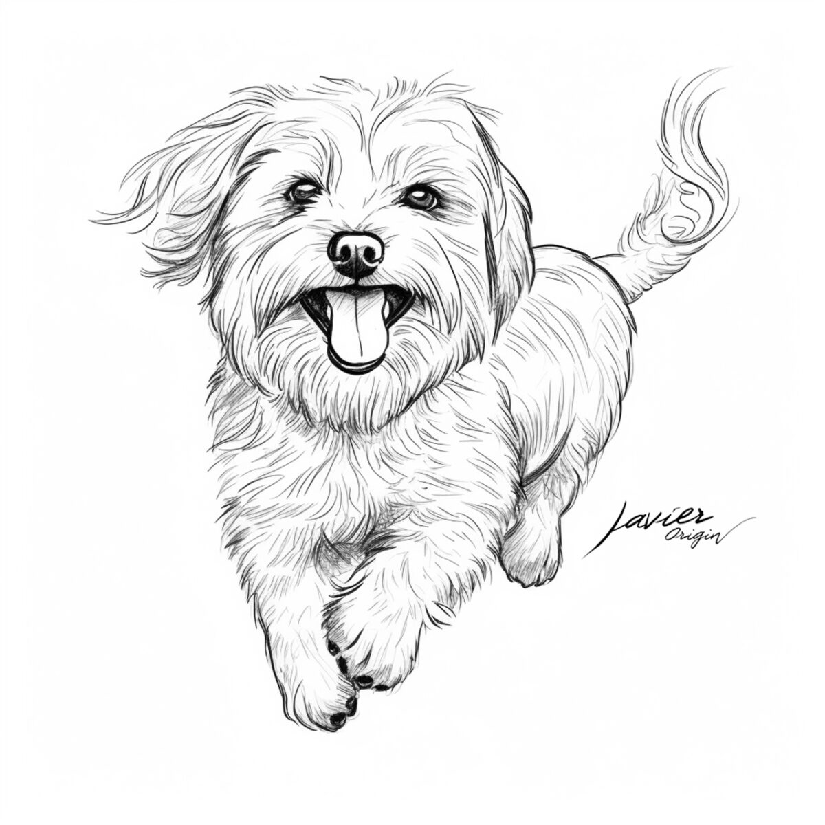 Dandie Dinmont Terrier perro realista para colorear
