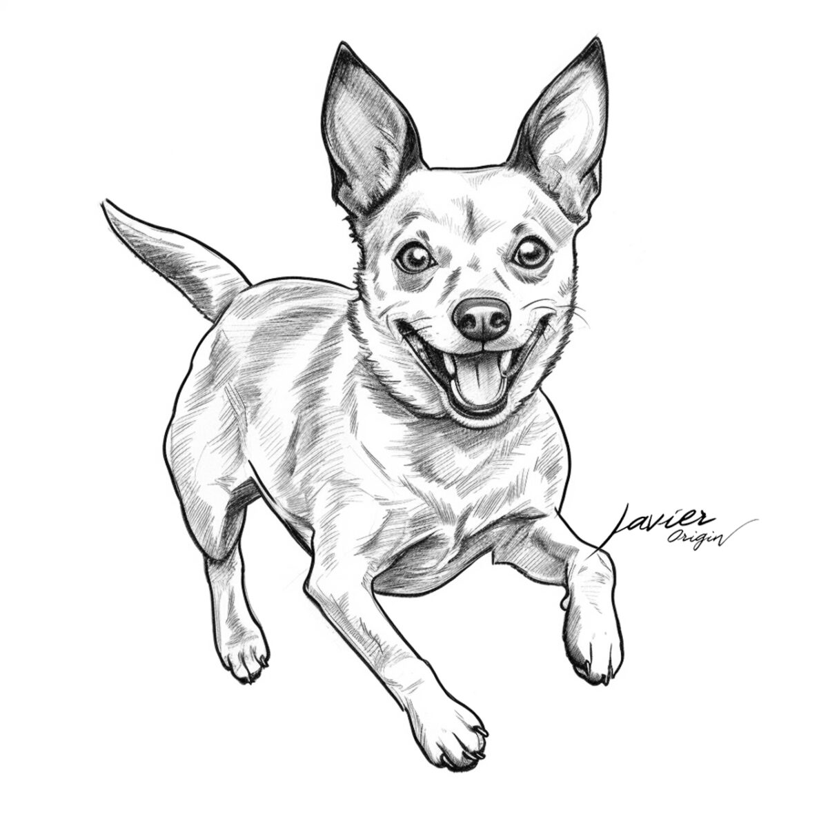 Perro Japanese terrier para colorear