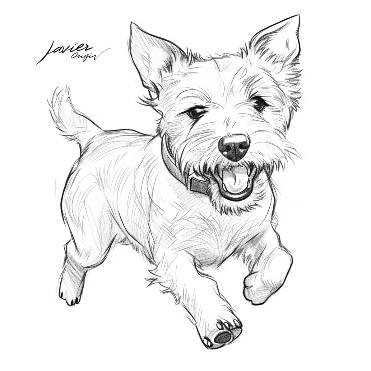 Plummer Terrier realista para colorear