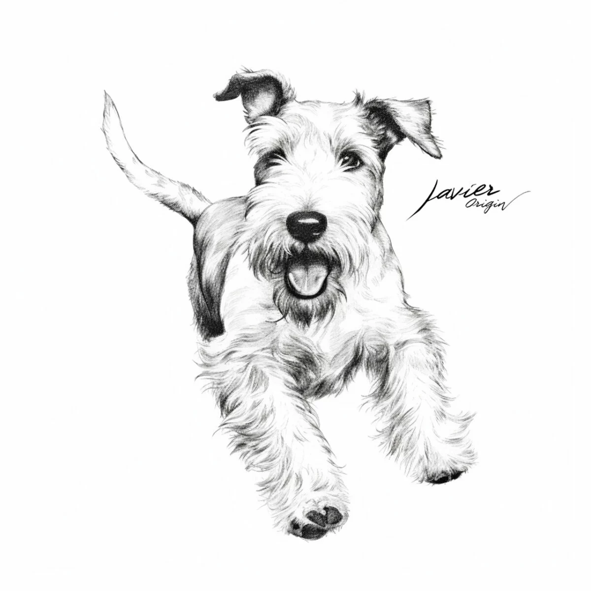 Vista previa del Wire Fox Terrier realista para colorear