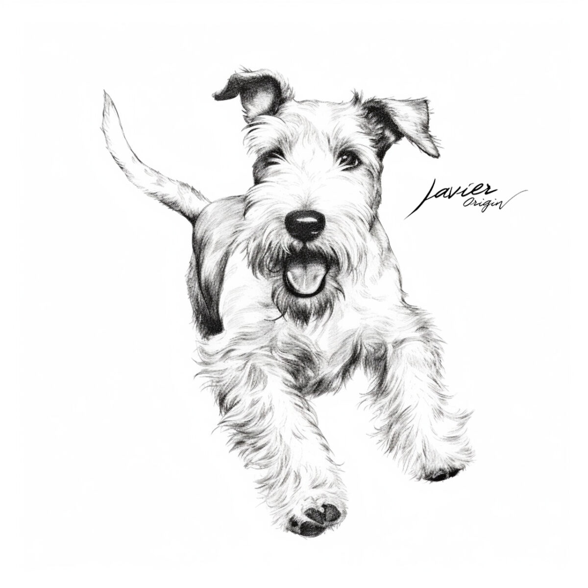 Wire Fox Terrier para colorear